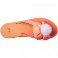 UGG Tong UGG Poppy - POPPY-FCRL