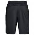 Under Armour Short Under Armour HeatGear Raid 2.0 Novelty - 1306435-001