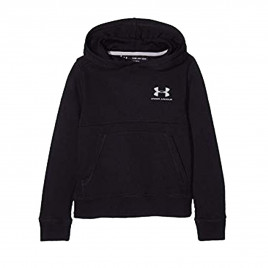 Under Armour Sweats Under Armour EU COTTON FLEECE HOODY