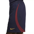 Nike Short Nike PSG DRI-FIT STRIKE