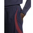 Nike Short Nike PSG DRI-FIT STRIKE