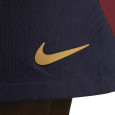 Nike Short Nike PSG DRI-FIT STRIKE