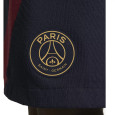 Nike Short Nike PSG DRI-FIT STRIKE