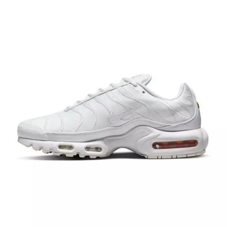 Nike Basket Nike AIR MAX PLUS