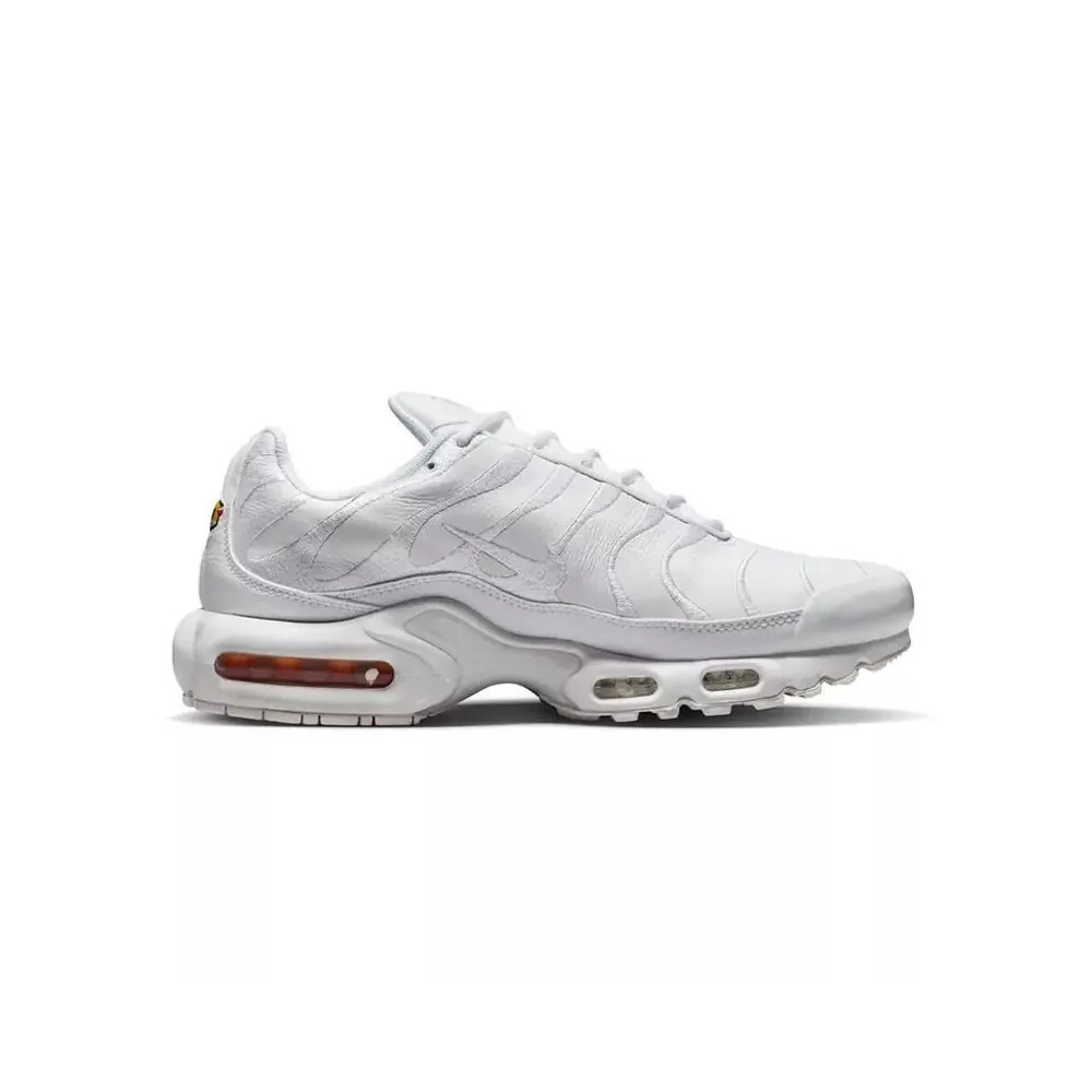 Nike Basket Nike AIR MAX PLUS