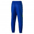 Puma Pantalons de survÃªtement Puma Puma XTG Woven Pants