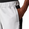 The North Face Short The North Face MA FLEECE