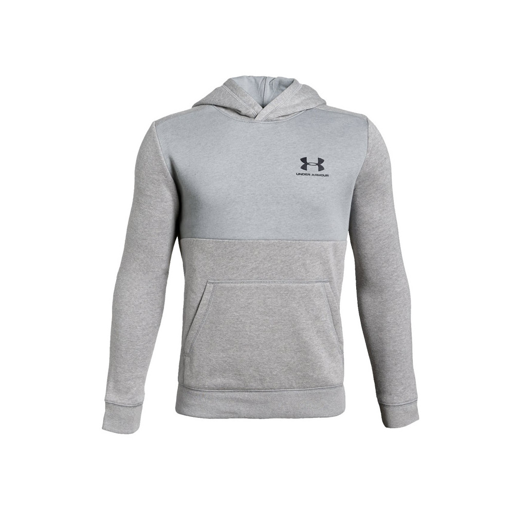 Under Armour Sweats Under Armour EU COTTON FLEECE HOODY