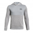 Under Armour Sweats Under Armour EU COTTON FLEECE HOODY