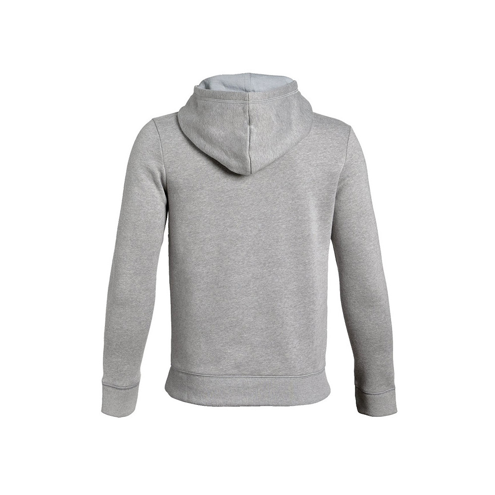 Under Armour Sweats Under Armour EU COTTON FLEECE HOODY