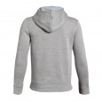 Under Armour Sweats Under Armour EU COTTON FLEECE HOODY