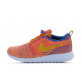 Nike Basket Nike Roshe One Flyknit - 704927-402