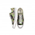 Converse Basket Converse CHUCK TAYLOR ALL STAR ARCHIVAL CAMO LOW TOP