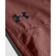 Under Armour Short Under Armour VANISH