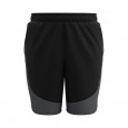 Under Armour Short Under Armour HIT WOVEN COLORBLOCK STS