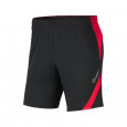 Nike Short Nike ACADEMY PRO