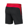 Nike Short Nike ACADEMY PRO