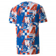 Puma Tee-shirt Puma FD BMW Motorsport AOP